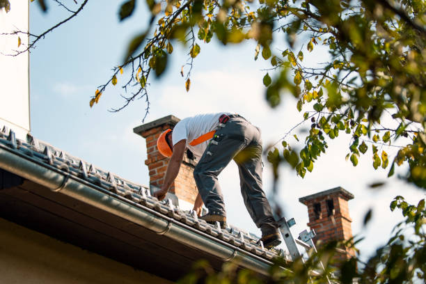 Best Roof Maintenance Services  in Heritage Village, CT
